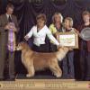 GRCA National Best of Breed