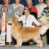 Hobo Best of Breed at National